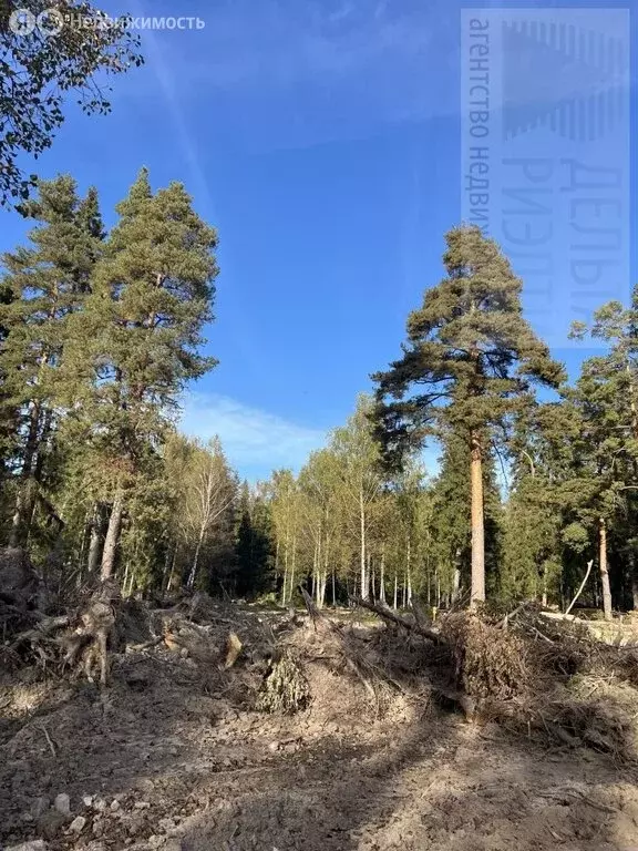 Участок в Куликовское сельское поселение (11 м) - Фото 1