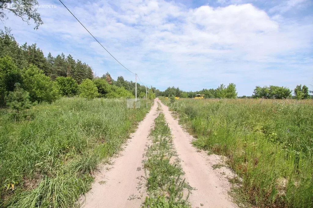 Участок в Алтайский край, городской округ Барнаул, посёлок Ягодное (10 ... - Фото 2