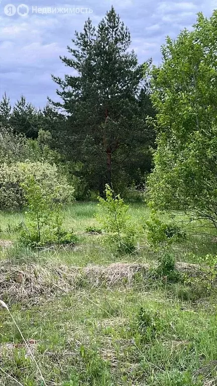 Участок в Лямбирский район, село Саловка, Лесная улица (15 м) - Фото 1