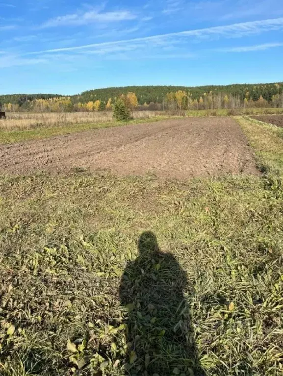 Участок в Пермский край, Кунгурский муниципальный округ, с. Жилино ул. ... - Фото 2