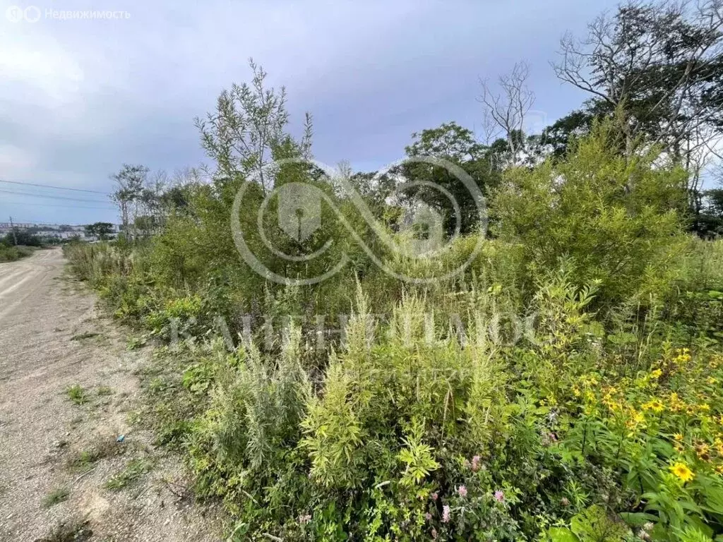 Участок в Корсаков, Тенистая улица, 13 (10 м) - Фото 1