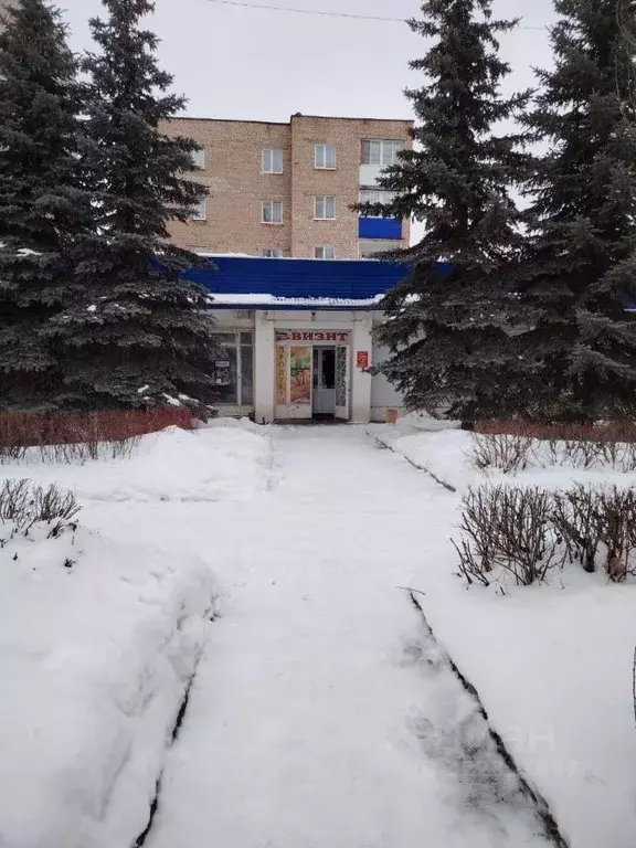 Помещение свободного назначения в Башкортостан, Туймазинский район, с. ... - Фото 2