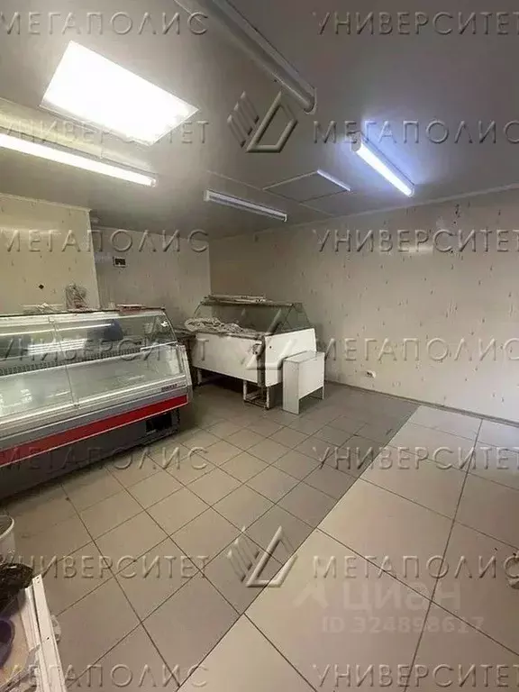 Офис в Московская область, Серпухов Российская ул., 40а (25 м) - Фото 2