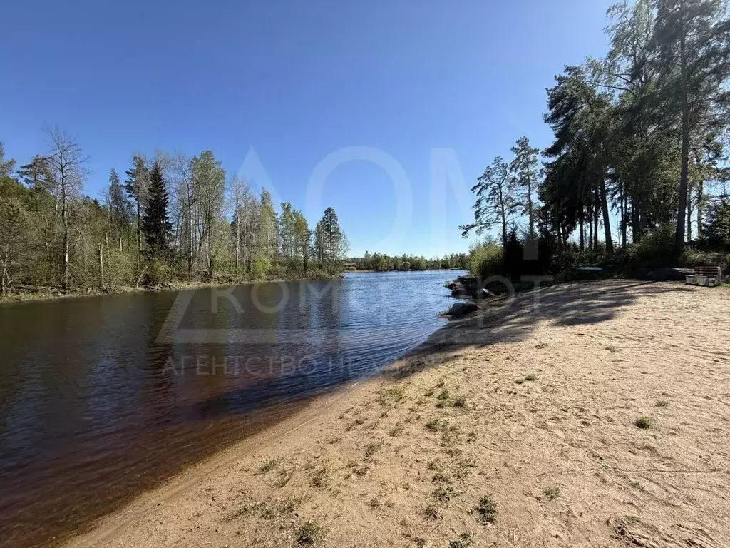 Участок в Ленинградская область, Приозерский район, Мельниковское ... - Фото 1