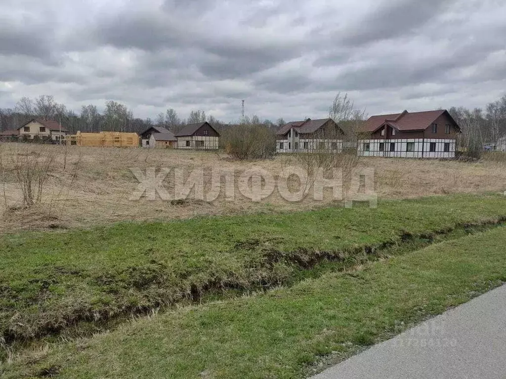 Участок в Новосибирская область, Новосибирский район, с. Плотниково, ... - Фото 1