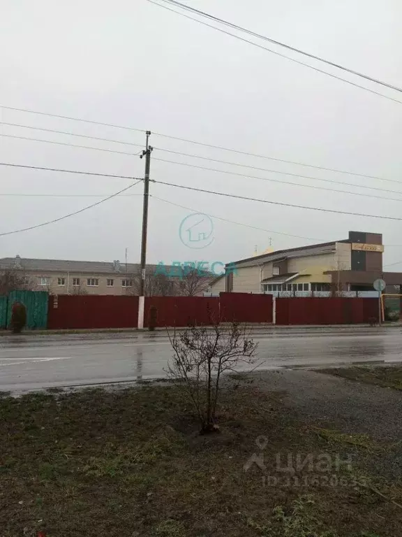 Участок в Белгородская область, Поселок Чернянка городское поселение, ... - Фото 1