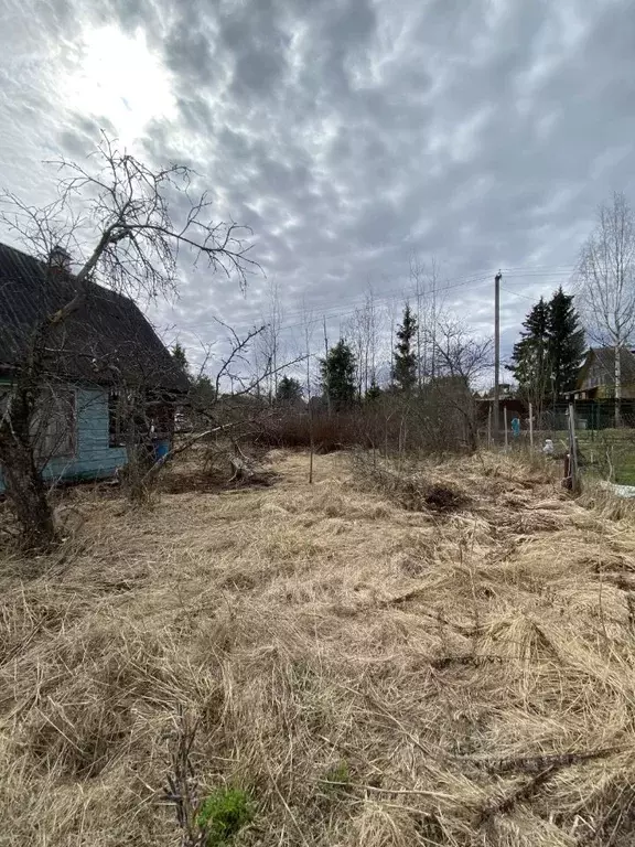 Участок в Ленинградская область, Тосненский район, Трубникоборское ... - Фото 2