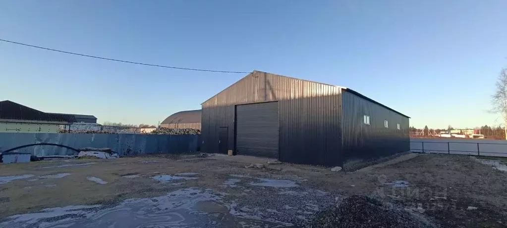 Помещение свободного назначения в Ленинградская область, Всеволожский ... - Фото 2