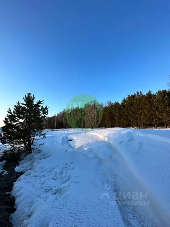 Участок в Татарстан, Лаишевский район, Егорьевское с/пос, д. Зимняя ... - Фото 1