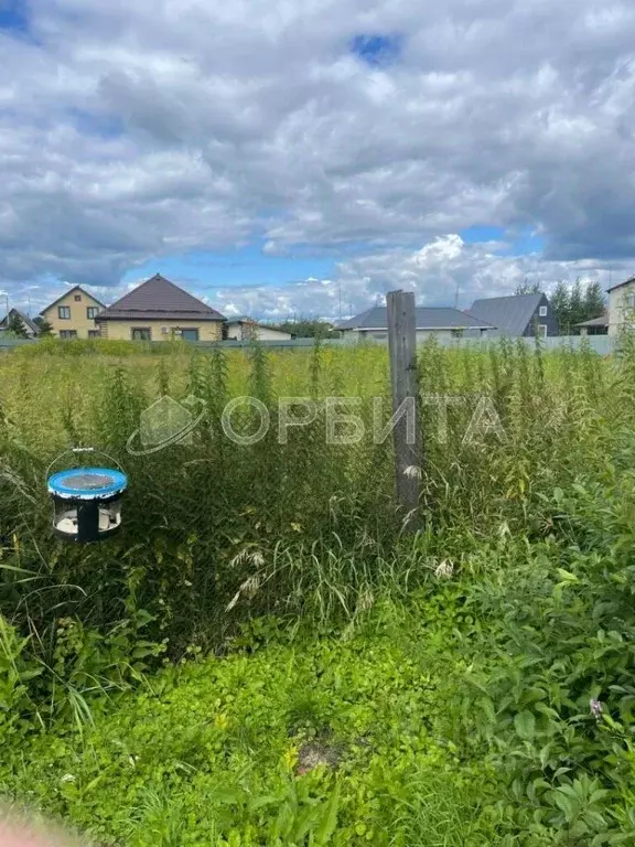 Участок в Тюменская область, Тюмень Казарово мкр, ул. Малая Заречная ... - Фото 2