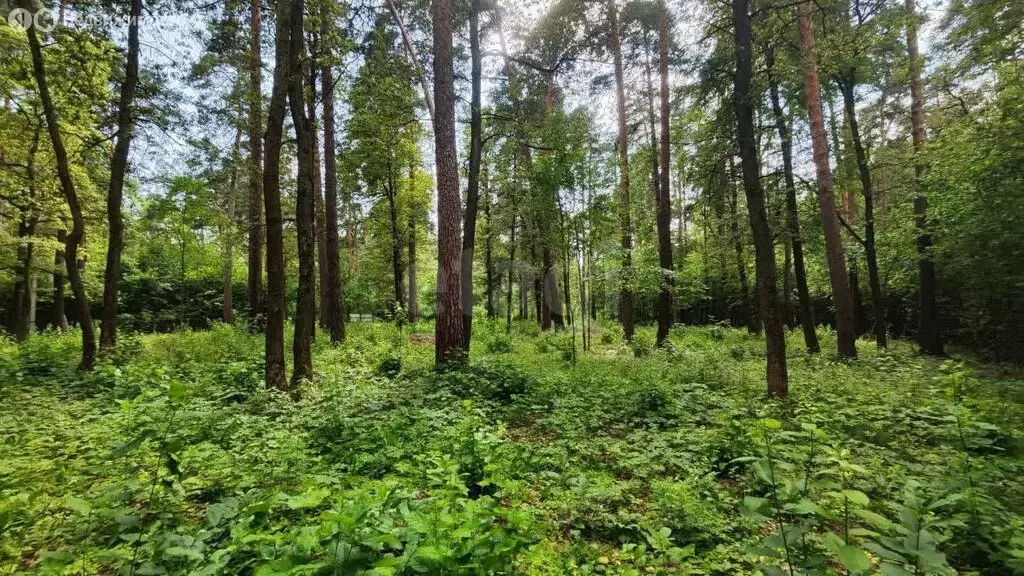 Участок в Московская область, Одинцовский городской округ, ПСК ... - Фото 0