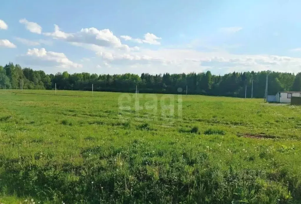 Участок в Вологодская область, д. Стризнево (Старосельский сельсовет)  ... - Фото 1