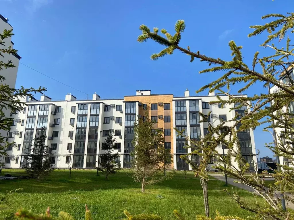 1-к кв. Волгоградская область, Волгоград ул. Иссы Плиева, 8Б (32.08 м) - Фото 1