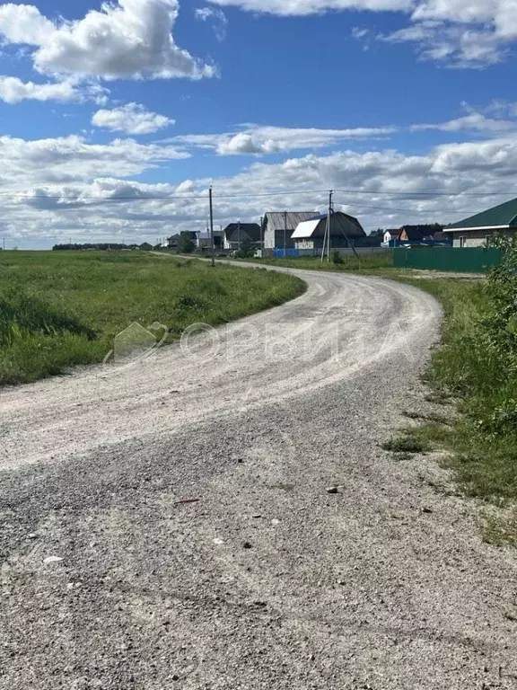 Участок в Тюменская область, Тюменский район, с. Борки  (33.54 сот.) - Фото 1