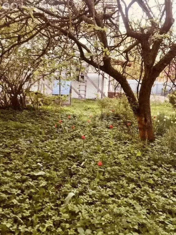 Участок в Калининград, СНТ Весна (5.3 м) - Фото 1