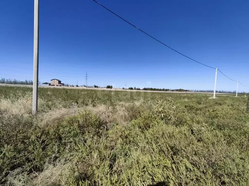 Участок в Ростовская область, Мясниковский район, Краснокрымское ... - Фото 2