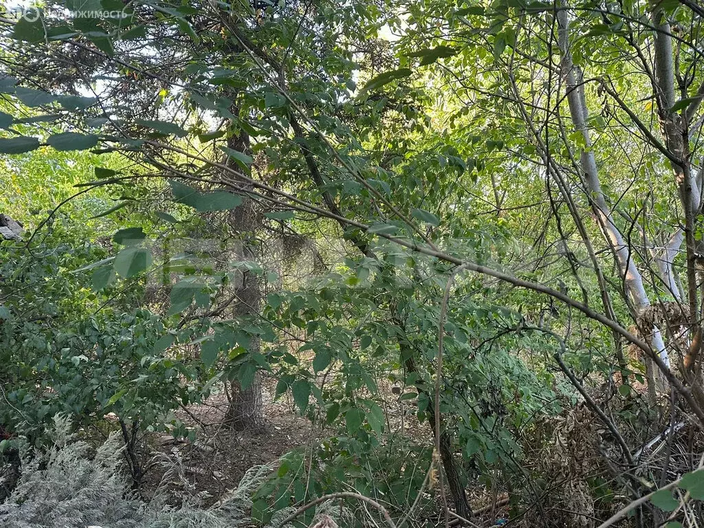 Участок в Ростов-на-Дону, 1-й Глазурный переулок (6.5 м) - Фото 1