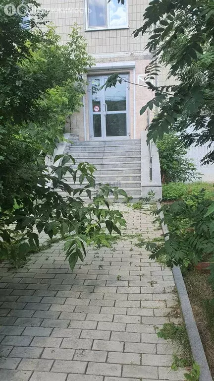 Помещение свободного назначения (15 м) - Фото 0