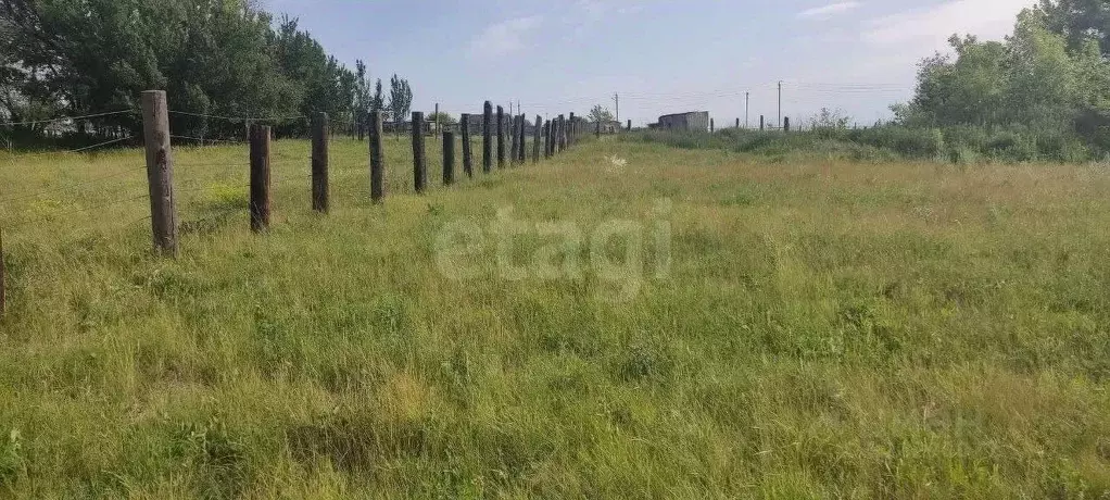 Участок в Белгородская область, Губкинский городской округ, с. Осколец ... - Фото 2