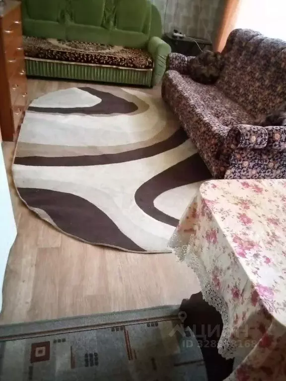 Комната Новосибирская область, Новосибирск Магаданская ул., 3/5 - Фото 2