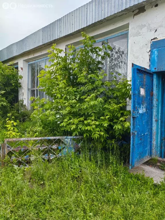 Помещение свободного назначения (272.7 м) - Фото 1