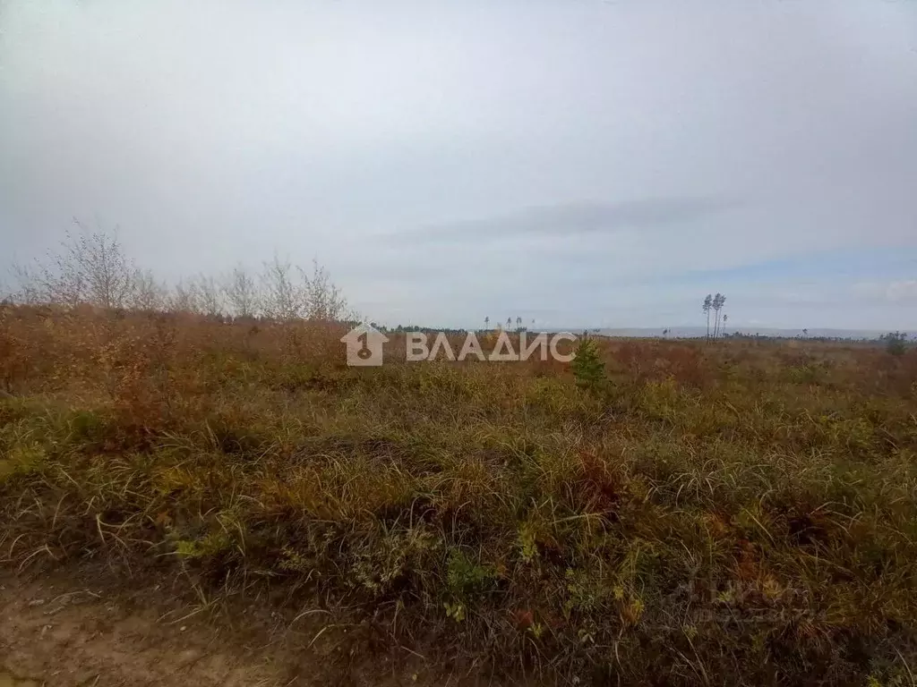 Участок в Забайкальский край, Читинский район, пос. Забайкальский  ... - Фото 1