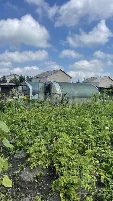 Дом в Амурская область, Райчихинск Рябиновая ул., 10 (242 м) - Фото 1