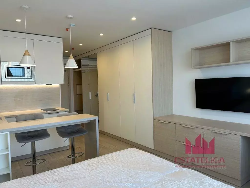 Студия Москва просп. Андропова, 10 (26.3 м) - Фото 2