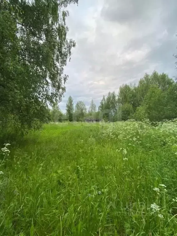 Участок в Вологодская область, Вологда Сохатый садоводческое ... - Фото 1