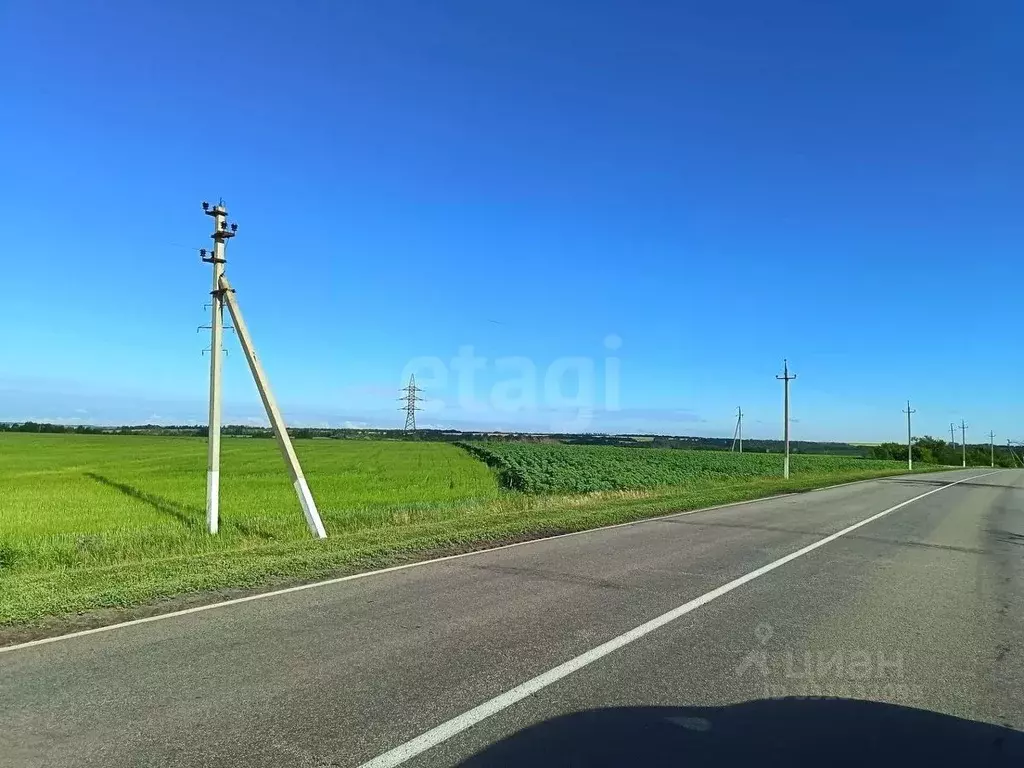 Участок в Белгородская область, Красногвардейский муниципальный округ, ... - Фото 2