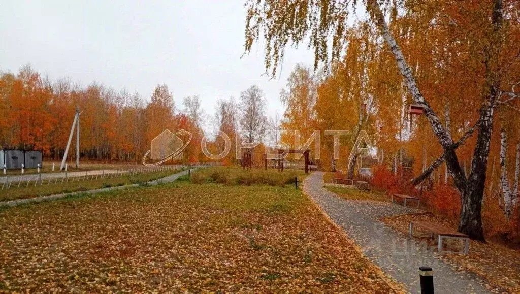 Участок в Тюменская область, Тюменский район, д. Малиновка, Малиновка ... - Фото 2