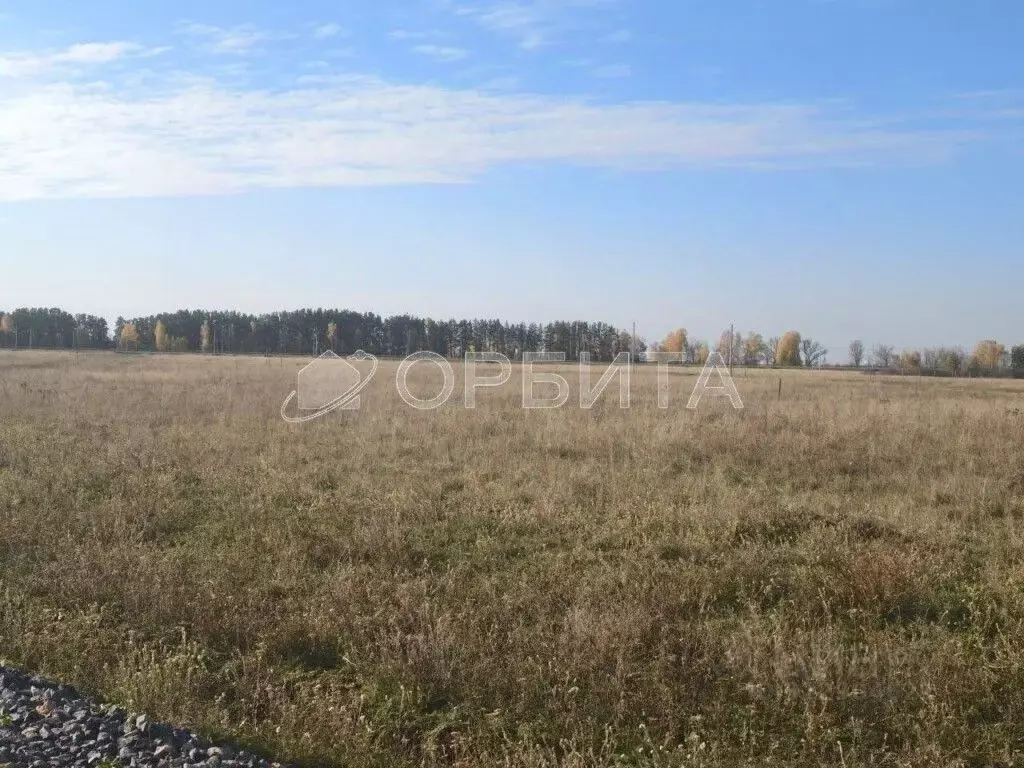 Участок в Тюменская область, Тюменский муниципальный округ, с. Борки  ... - Фото 1