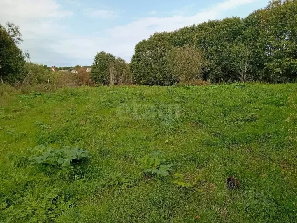 Участок в Ленинградская область, Волховский район, Деревня Вындин ... - Фото 2