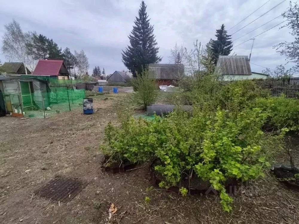 Дом в Омская область, Омский район муниципальный округ, Автомобилист ... - Фото 2