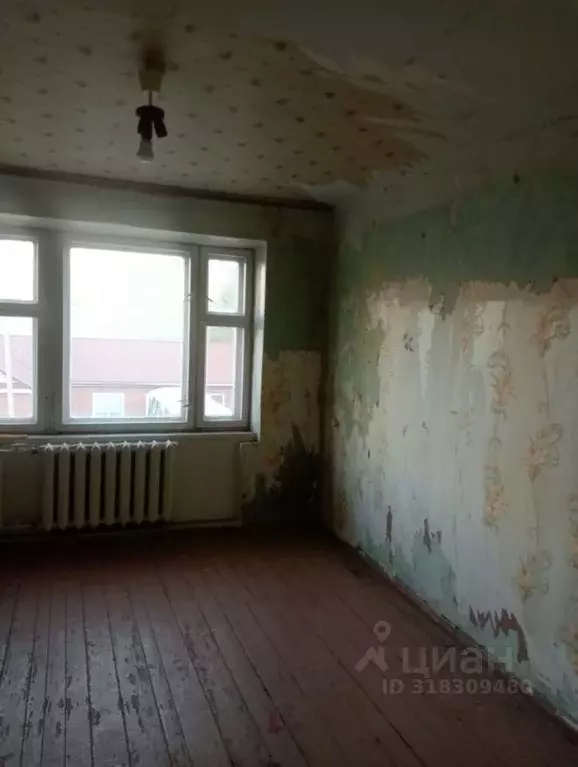 Комната Орловская область, Орел ул. Садовского, 1 (12.0 м) - Фото 0