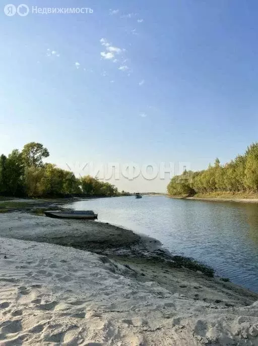 Участок в Колыванский район, СНТ Заря (10 м) - Фото 1