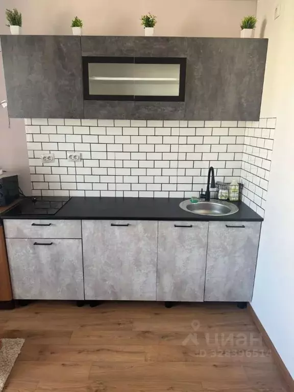 1-к кв. Новосибирская область, Новосибирск ул. Забалуева, 102 (34.0 м) - Фото 1