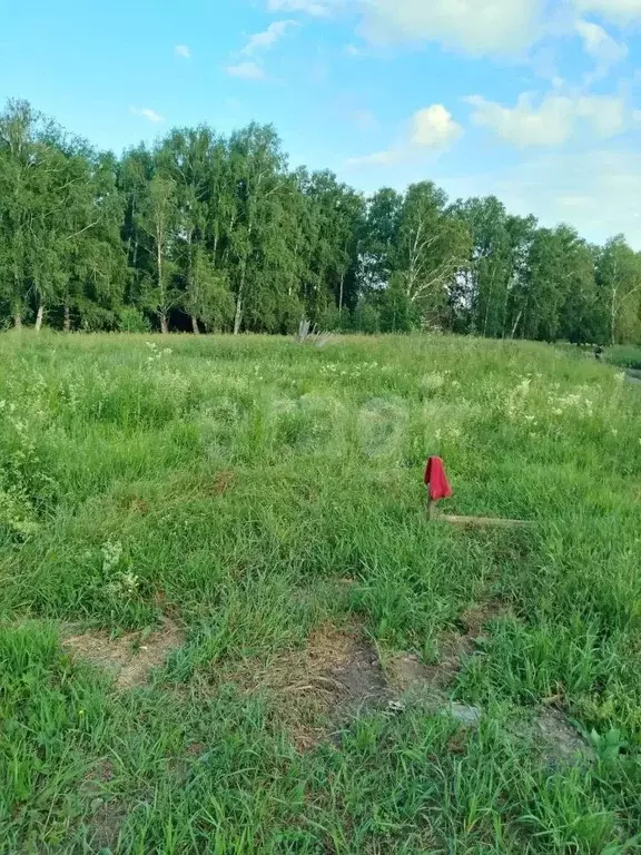 Участок в Новосибирская область, Искитимский район, Быстровский ... - Фото 1