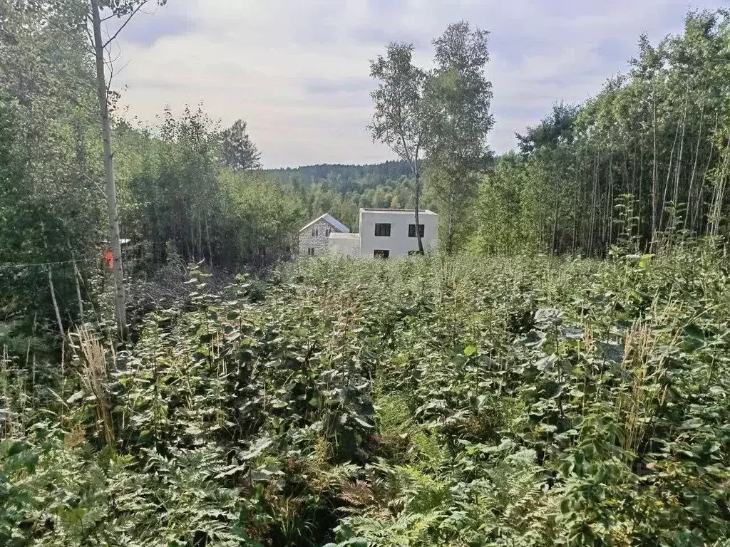 Участок в Иркутская область, Иркутский муниципальный округ, д. ... - Фото 1