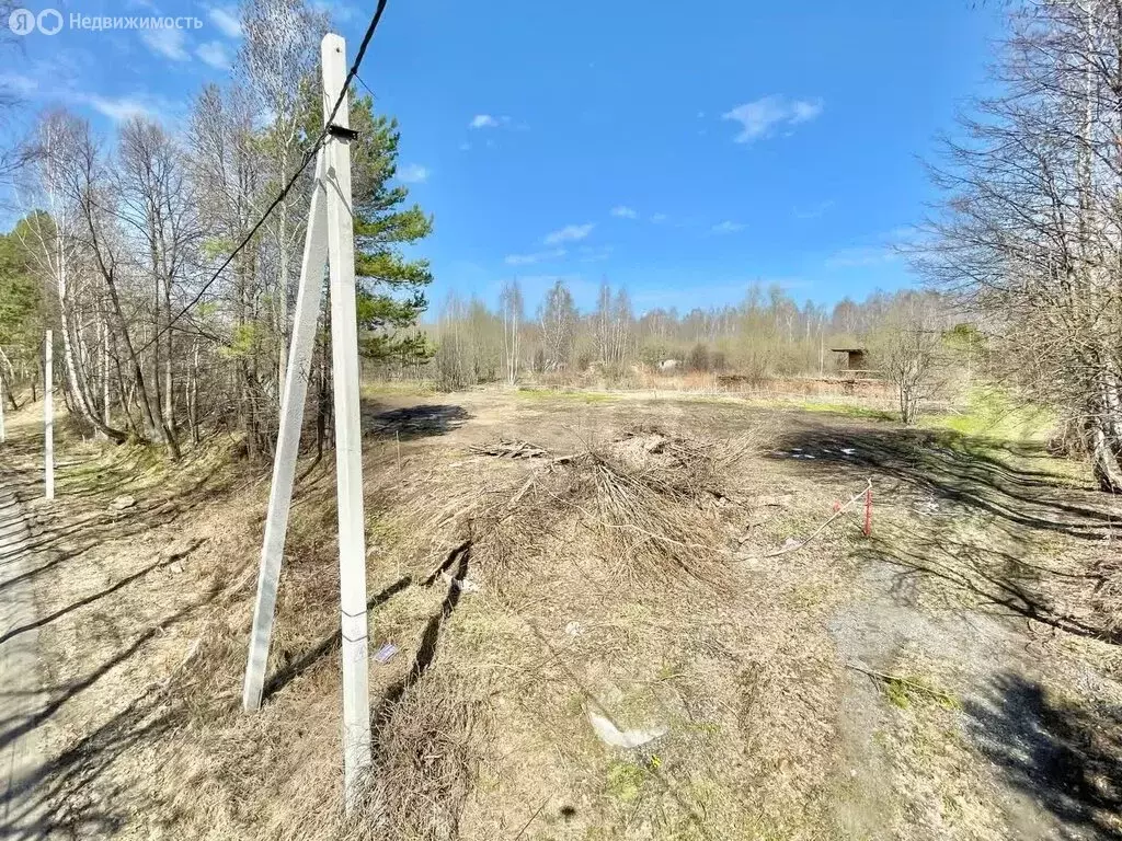 Участок в Тобольск, садоводческое товарищество Южанка (6.5 м) - Фото 1