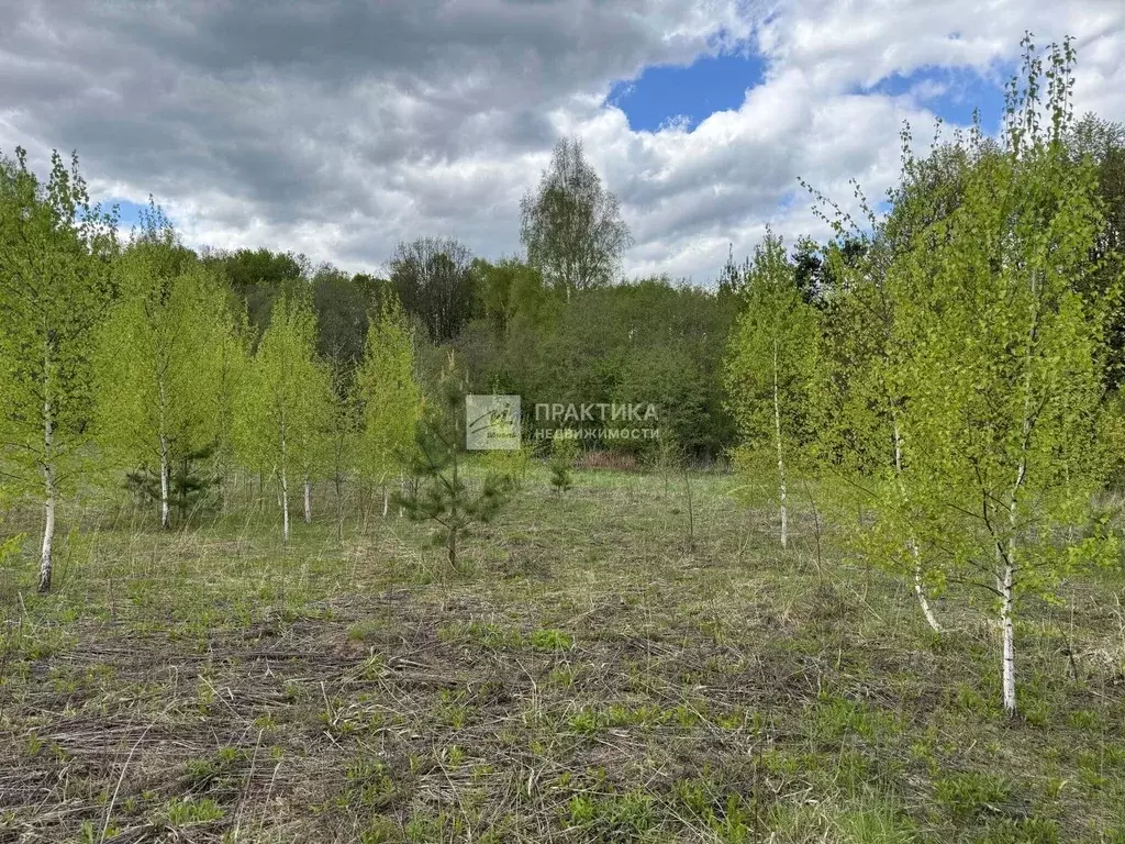 Участок в Московская область, Одинцовский городской округ, с. ... - Фото 0