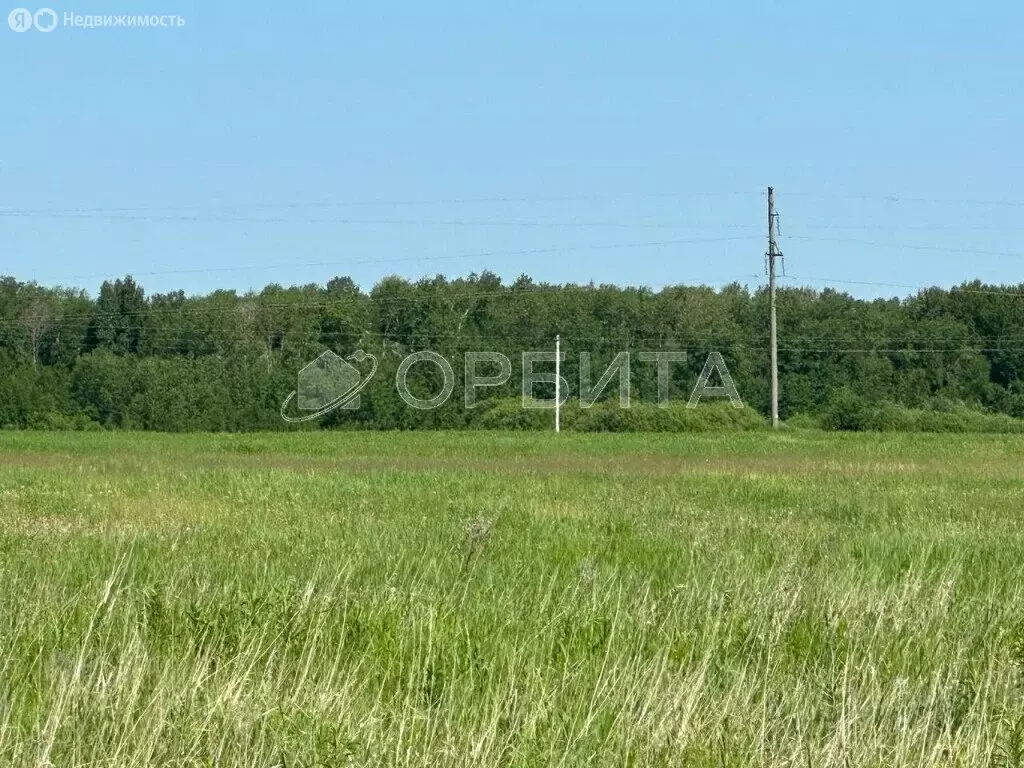 Участок в Тюменский район, деревня Елань, Береговая улица (15.43 м) - Фото 1