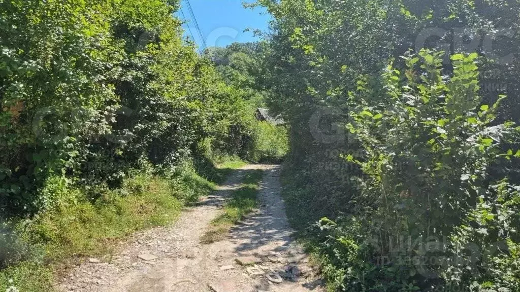 Участок в Краснодарский край, Сочи городской округ, с. Верхний Юрт, ... - Фото 1