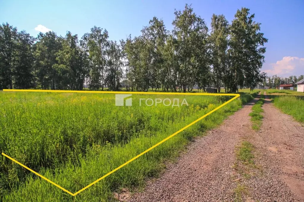 Участок в Алтайский край, Павловский район, Молодежный ДНТ  (10.0 ... - Фото 0