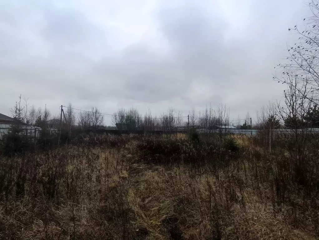 Участок в Московская область, Дмитровский муниципальный округ, д. ... - Фото 0
