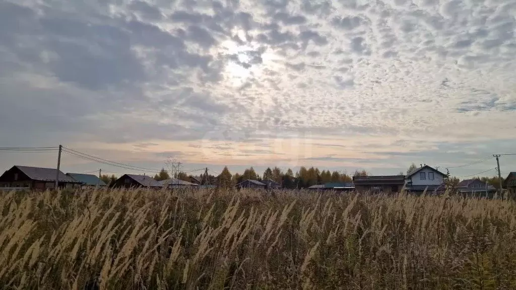 Участок в Удмуртия, Завьяловский район, с. Ягул ул. Союзная (16.0 ... - Фото 2