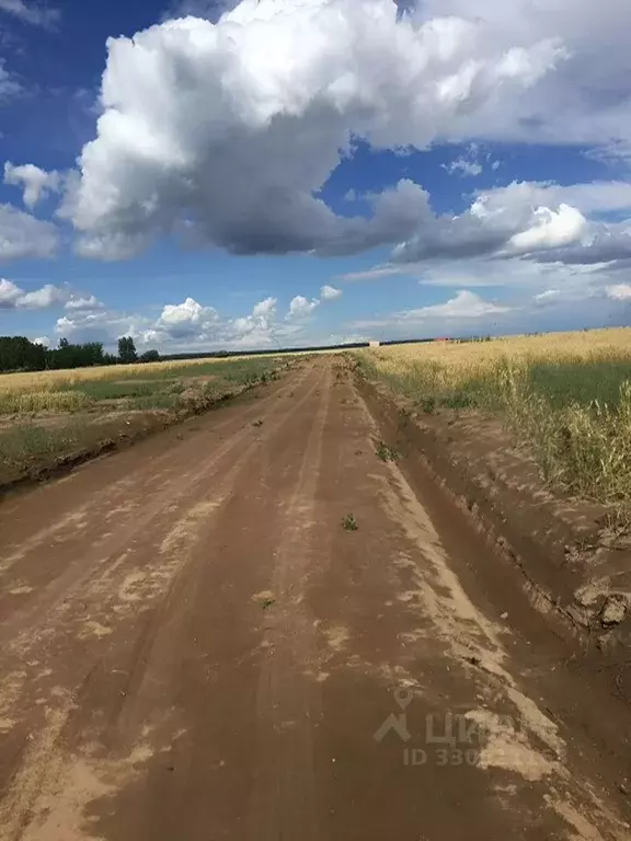 Участок в Московская область, Чехов муниципальный округ, д. Оксино ул. ... - Фото 1