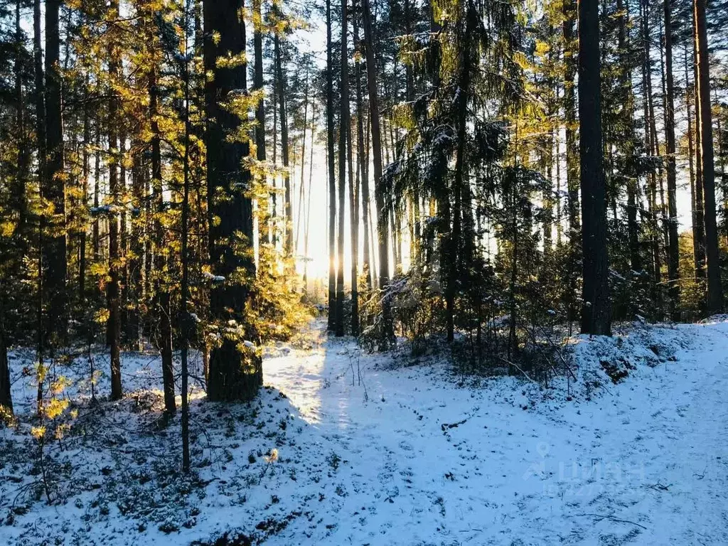 Участок в Тверская область, Калининский муниципальный округ, д. ... - Фото 2