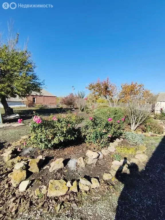 Дом в Неклиновский район, Самбекское сельское поселение, хутор ... - Фото 1