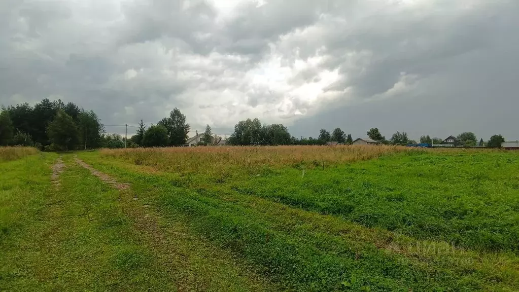 Участок в Московская область, Ступино городской округ, д. Костомарово ... - Фото 1